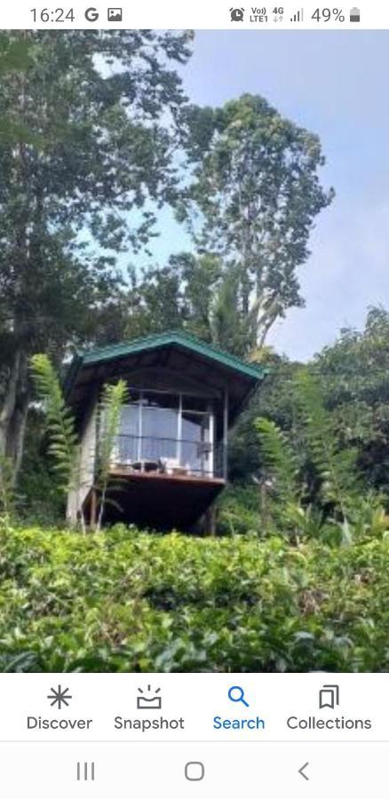 Tea Villas 엘라 외부 사진