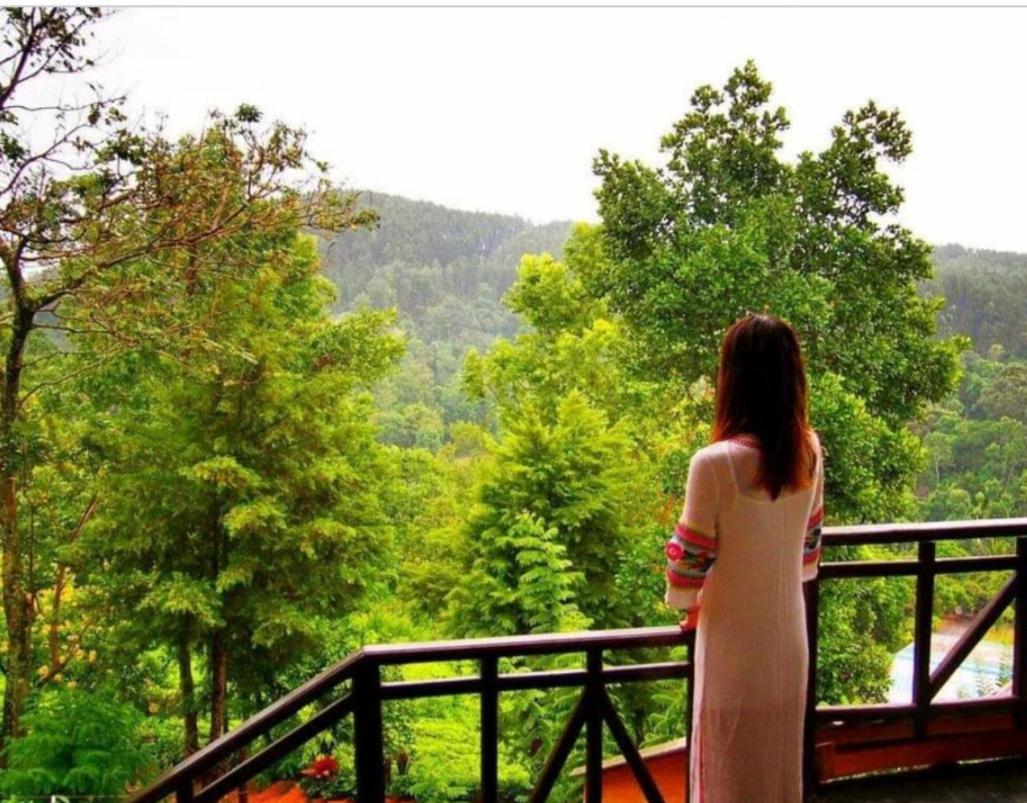 Tea Villas 엘라 외부 사진