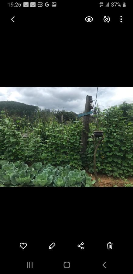 Tea Villas 엘라 외부 사진